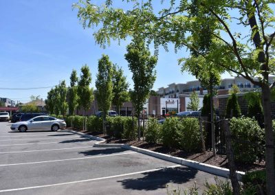 15 The District Phase 3 reduced