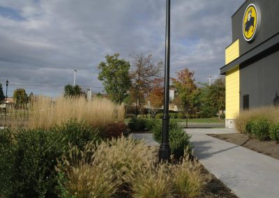 Buffalo Wild Wings Gallery image 5