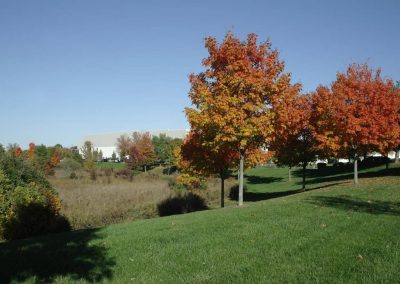 Cranbury Corporate Park Gallery image 16
